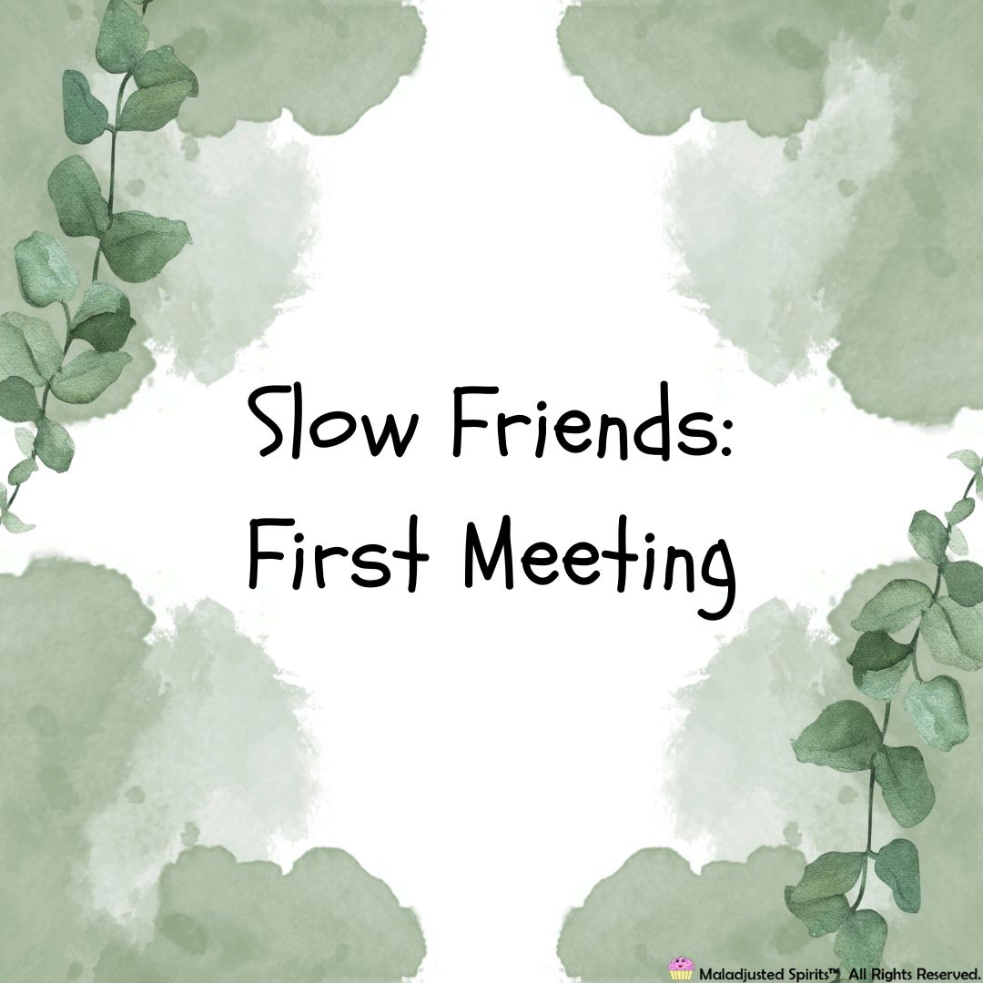 Slow Friends